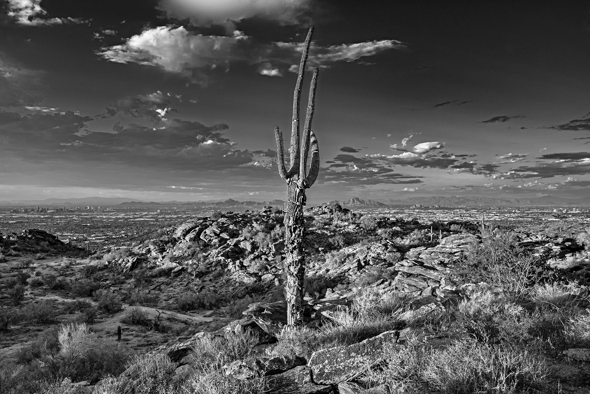 Lost Souls Photographic Series