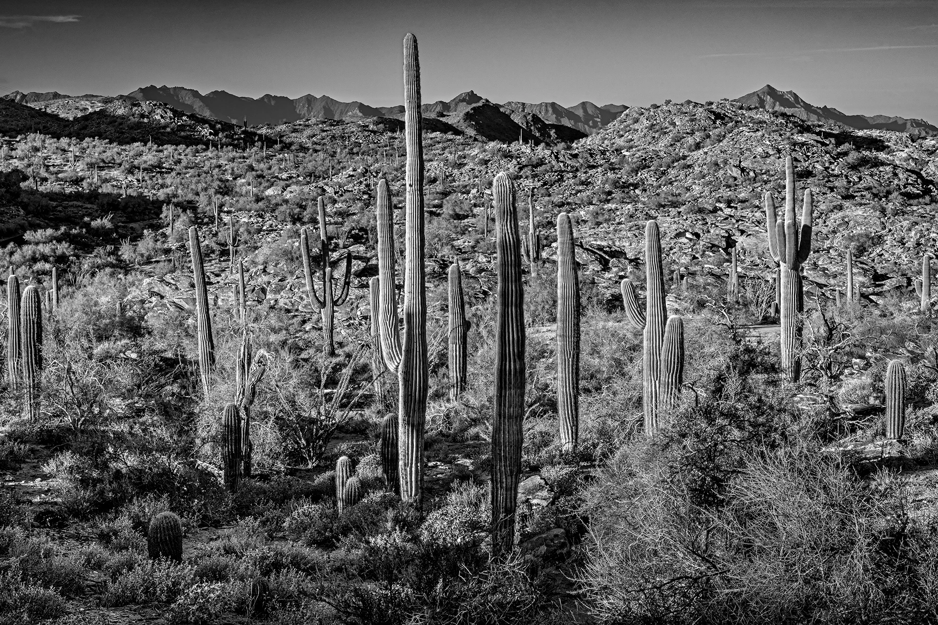 Lost Souls of South Mountain 22 Lost Souls of South Mountain 22