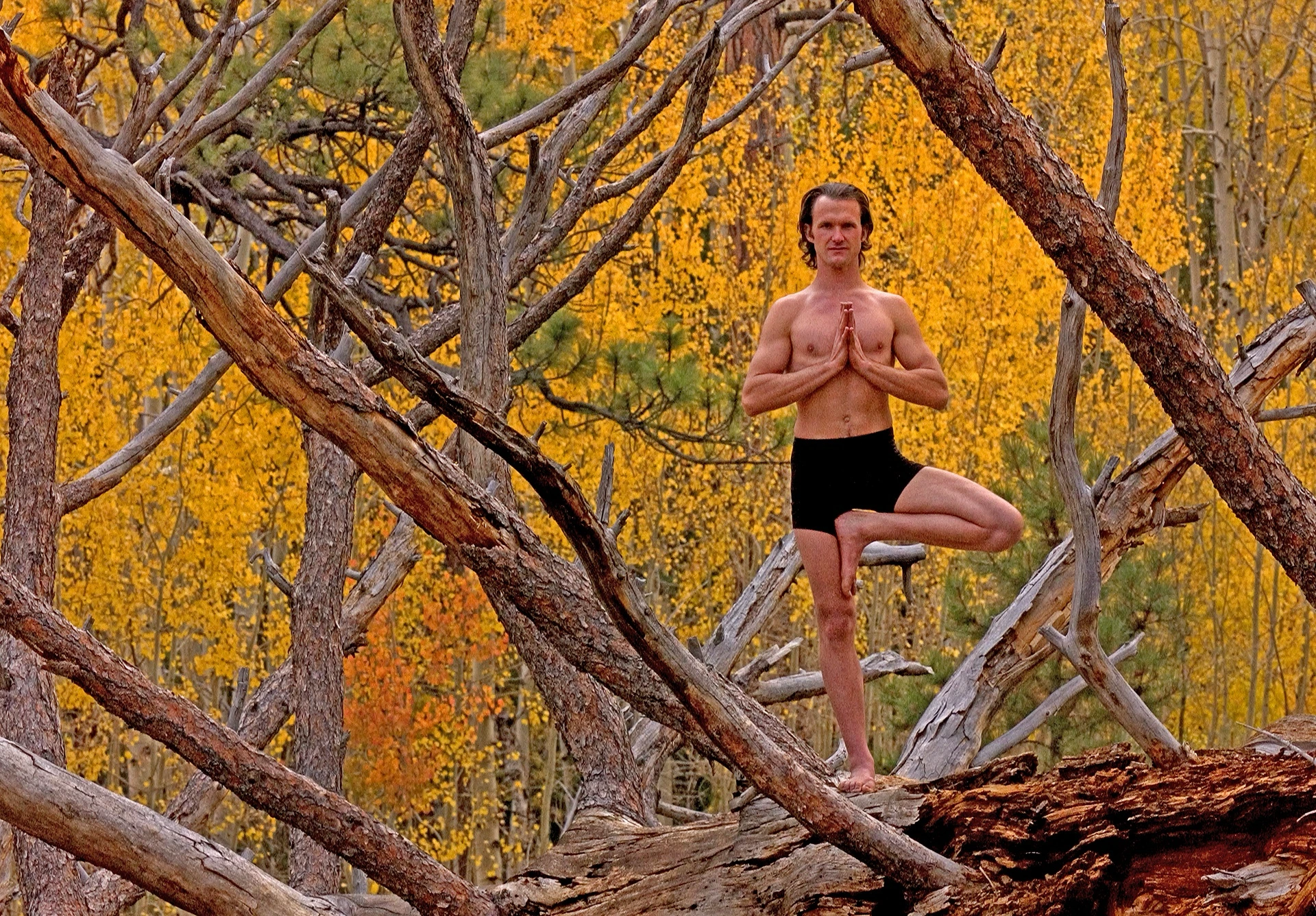Caiyam Carroll / Kaibab National Forest / Flagstaff, Arizona