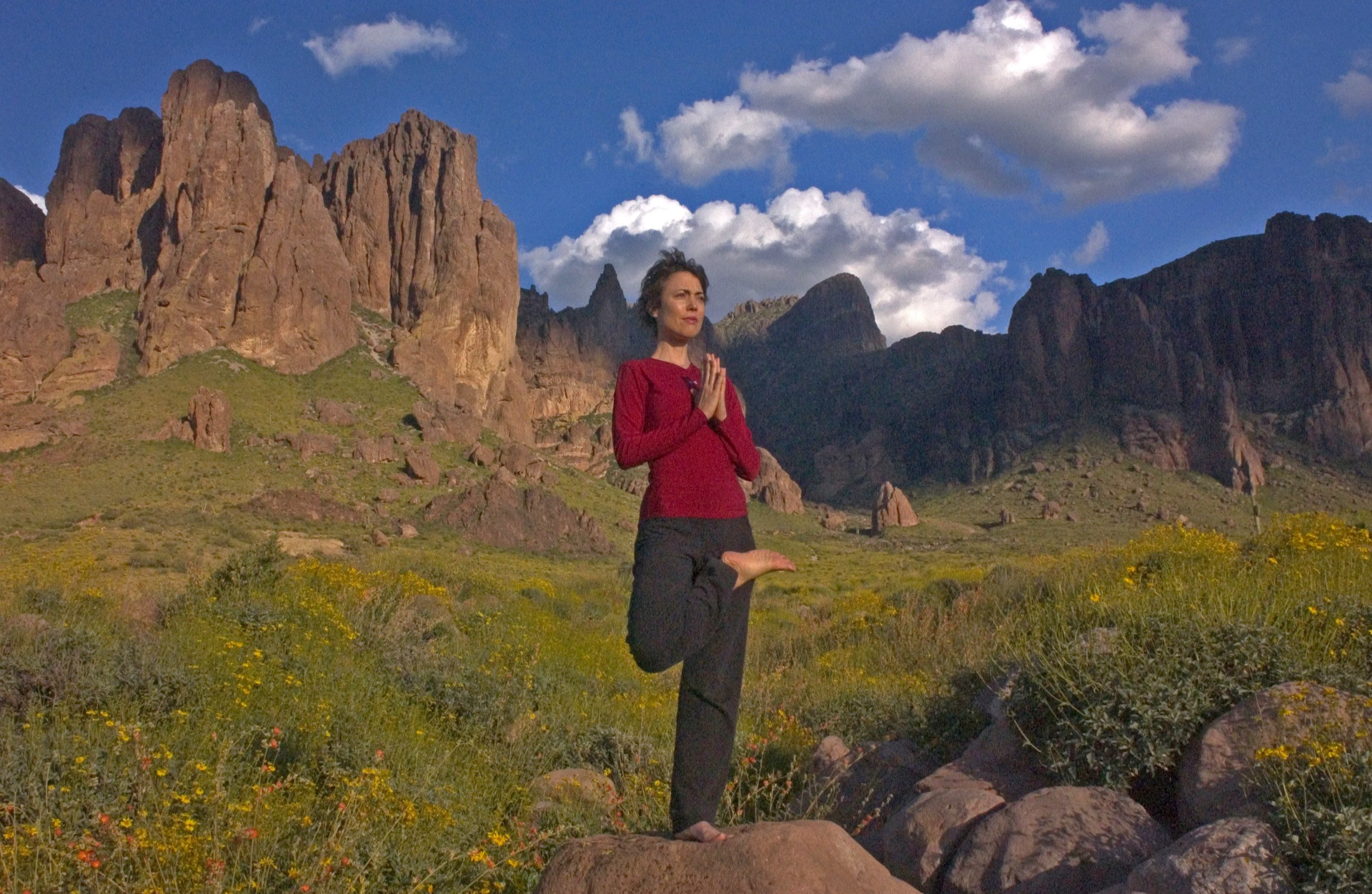 Lisa Takamiya / Lost Dutchman State Park / Apache, Arizona