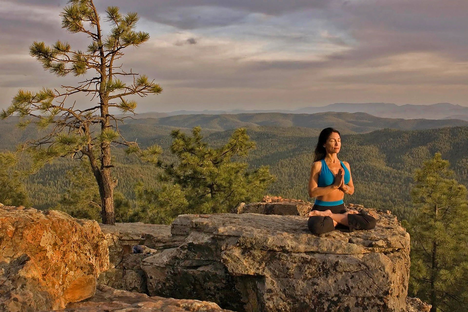 Jeannine Marzella / Mogollon Rim, Arizona